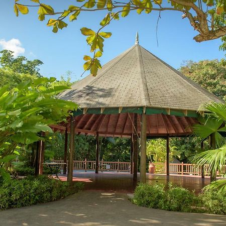 Tropical Escape Villa Ocho Rios Luaran gambar